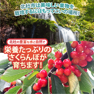 【2025年先行予約】山梨県北杜市産　旬の採れたてさくらんぼ　約1kg さくらんぼ 高砂 佐藤錦 紅秀峰 約1kg 2025年 先行予約 期間限定 数量限定 採れたて大粒 大玉 果物 くだもの 夏果実