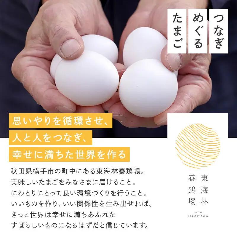 【常温発送】《定期便5ヶ月》赤ひとたま 20個・黄身の余韻 20個 計40個（業務用）【発送時期が選べる】東海林養鶏場 赤ひとたま 黄身の余韻 卵 玉子 たまご タマゴ 5か月 5ヵ月 5カ月 5ケ月