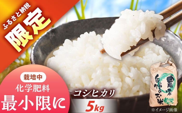 
            【スピード配送】〈ふるさと納税限定！〉令和7年度産コシヒカリ 5キロ / コシヒカリ お米 米 精米 白米 新米 産地直送 スピード配送 限定 炊飯 食事 粘り 甘み 美味しい ご飯 送料無料 お取り寄せ 贈答 ギフト 人気 おすすめ 岐阜県 / 恵那市 / トモファーム [AUCA003]
          