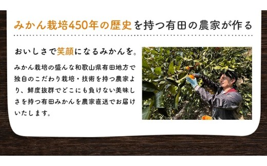 【2026年10月中旬～11月中旬頃に順次発送予定】有田育ちの完熟有田みかん 家庭用 サイズ混合(2S～2L)　約2.2kg(2kg+200g)【ard201D-10】