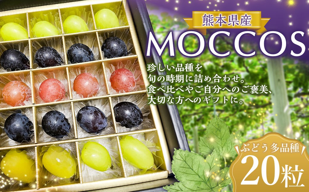 
                  MOCCOS （ぶどう多品種20粒入り） 【2026年8月上旬上旬発送開始】 ぶどう フルーツ 果実 粒 食べ比べ デザート 贈り物 冷蔵 熊本県
                