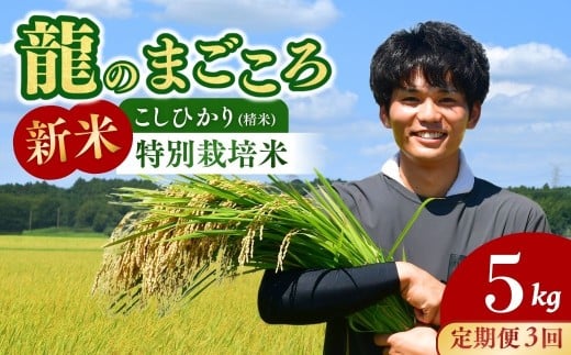 ＜3ヵ月定期便＞【令和7年度新米】龍ケ崎の特別栽培米 コシヒカリ 5kg ❙ こしひかり コシヒカリ お米 米 こめ 白米 精米 新米 冷めてもおいしい 美味しい こだわり いばらきみどり認定 おにぎり 茨城県 龍ケ崎市産