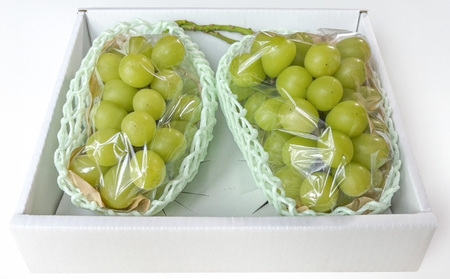 はじける美味しさ！山形の朝どりシャインマスカット 800g～1kg 1～2房【令和8年産先行予約】FS25-134