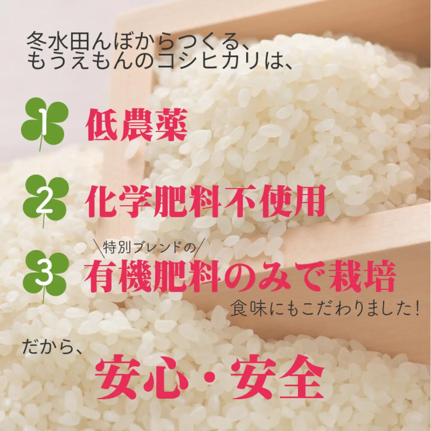 【令和7年産】冬水田んぼでつくる 特別栽培米 もうえもん コシヒカリ（5kg × 1袋）真空パック