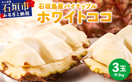 ≪6月上旬順次発送≫ 石垣島産パイナップル　ホワイトココ　3玉（約3kg）TP-13