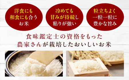 【全3回定期便】お米（5kg）×カレー（6袋）セット 白米 5kg[AGBX060]