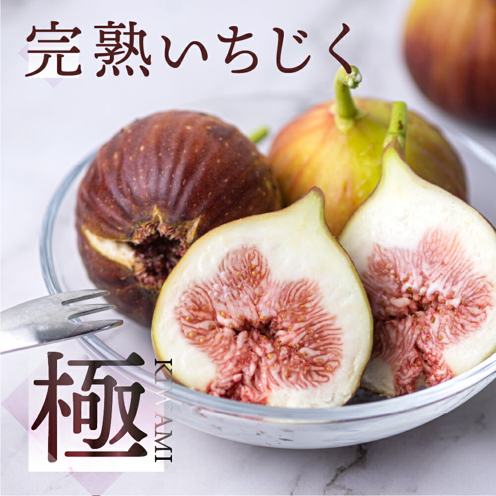 【ふるさと納税】いちじく 極 9-12玉 高評価★4.8 完熟 大玉 《先行予約》 1箱/2箱 発送時期が選べる フルーツ 日時指定可 受賞農家 果物 無花果 イチジク くだもの いちぢく ランキング 入手困難 高級 愛知県 田原市 渥美半島 人気