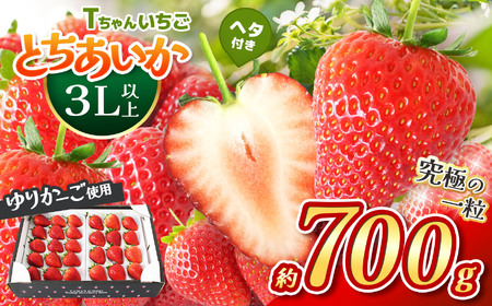 とちあいか３L以上ホール詰め 約700g