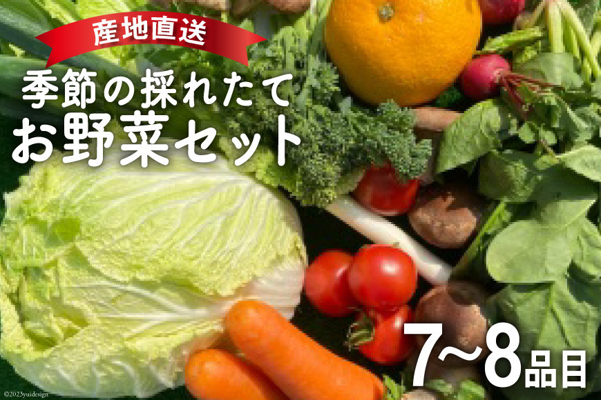 
雲仙 季節の採れたてお野菜セット 7～8品目 / 九州きばる / 長崎県 雲仙市 [item0928] 野菜 セット 旬 詰め合わせ 産地直送 食べ比べ
