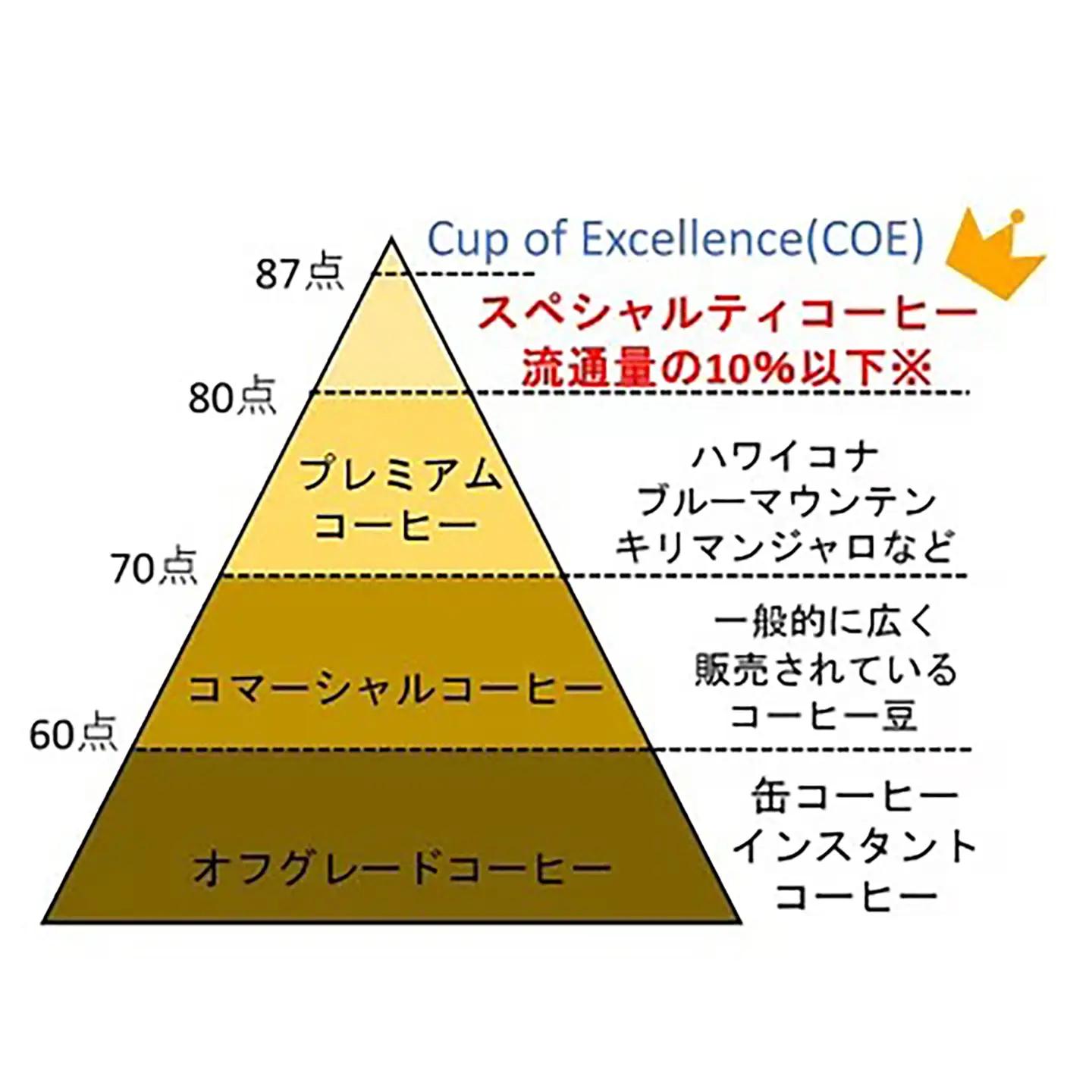 コーヒー 200g×ブレンド1種&シングルオリジン2種(粉) キャニスター缶入コーヒー つくばSセレクト