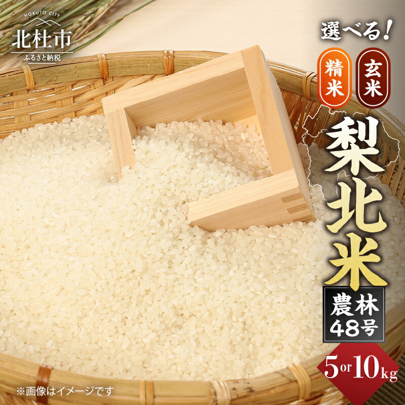 【ふるさと納税】 お米 米 選べる種類 精米 玄米 選べる容量 5kg 10kg 梨北米農林48号 粘り 甘み お寿司 炊き込みご飯 山梨最大の米処 北杜市武川町産 送料無料 【令和7年度新米】