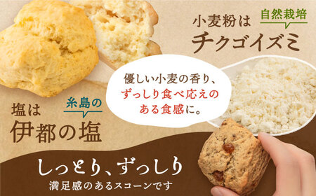 スコーンのイメージが変わる！定番スコーン12個セット 《糸島》【キナフク】 [AFA001] 洋菓子 卵不使用 スコーン お菓子 スイーツ個包装 セット スイーツ詰め合わせ スイーツ 焼菓子スイーツ 