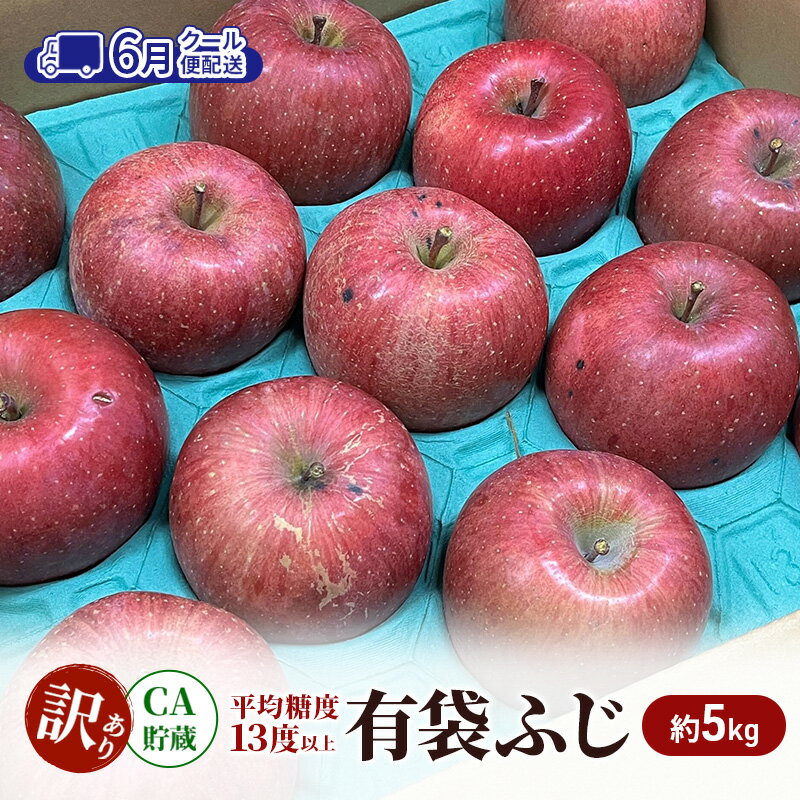 【ふるさと納税】【6月 クール便配送】雪国鮮度を閉じ込めた りんご 【糖度13度以上で選果】CA貯蔵 訳あり 有袋ふじ 約5kg リンゴ 果物 青森県 鶴田町　お届け：2026年6月1日～2026年6月26日