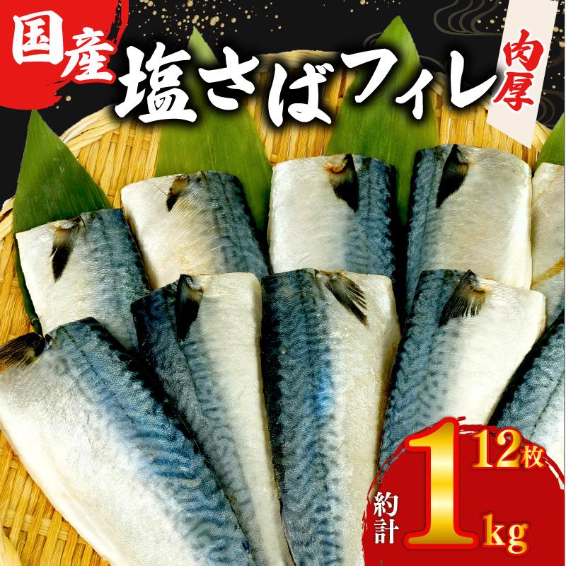 国産 塩サバ フィレ 【選べる内容量】 約1kg 12枚 小分け 個包装 鯖 天然 切り身 半身 肉厚 魚介 海鮮 冷凍 さば サバ フィーレ ご家庭用 贈答品 高級 人気 おかず おつまみ 静岡県 沼津市