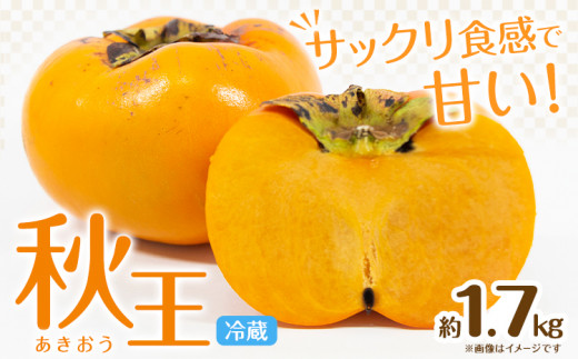 秋王 約1.7kg《11月上旬-11月末頃出荷》福岡県 鞍手郡 鞍手町 柿 かき カキ 種なし 種無し 福岡県産 果物 くだもの フルーツ 【配送不可地域あり】