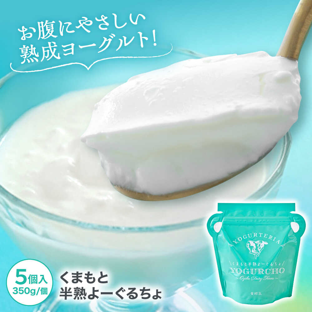 【ふるさと納税】オオヤブデイリーファーム くまもと半熟よーぐるちょ 350g×5個セット 乳製品 生乳 朝食 スイーツ おやつ ヨーグルト よーぐると 熊本県産 九州産 国産 冷蔵 送料無料【株式会社 オオヤブデイリーファーム】[AYAE004]