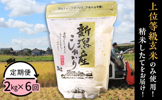 
                  31-K26【6ヶ月連続お届け】新潟県産コシヒカリ2kg
                