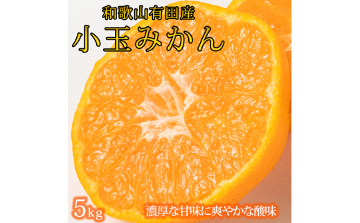 有田の小粒みかん 約5kg (S～3Sサイズ混合)【2026年11月下旬～2027年1月下旬頃に順次発送予定】【先行予約】【UT134】【uot845】
