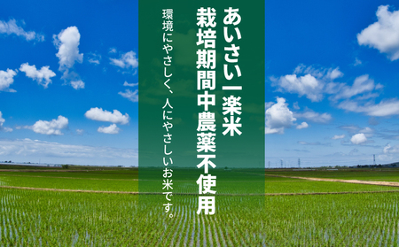 白米 3kg 令和5年度産 コシヒカリ 精米 米 あいさい一楽米 農薬不使用米 ( 大人気白米 人気白米 絶品白米 至高白米 国産白米 徳島県産白米 徳島県白米 ギフト白米 プレゼント白米 お中元白米