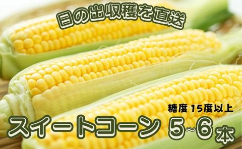 スイートコーン おおもの 5～6本