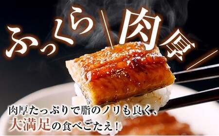 ◆宮崎県産ハーブうなぎ蒲焼 切身10枚(計500g)