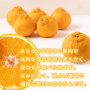 【愛媛県産】【2月下旬から順次発送】【ご贈答用】不知火（しらぬい）約5kg でこぽんと同品種  ｜ﾐｶﾝ 訳あり ﾐｶﾝ みかん ﾐｶﾝ 訳あり ﾐｶﾝ ﾐｶﾝ ﾐｶﾝ 柑橘 ﾐｶﾝ 訳あり ﾐｶﾝ 