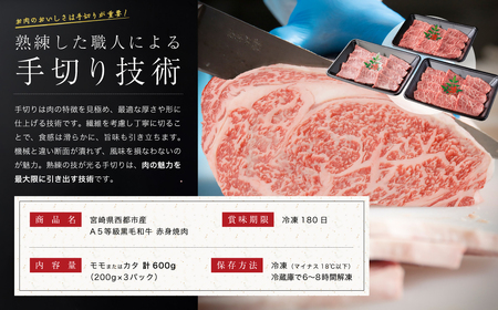 カミチクファーム　黒毛和牛赤身焼肉　600g＜1.4-6＞