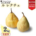 【ふるさと納税】先行予約 ル レクチェ 自家用 2kg（4〜7玉) [11月下旬から発送予定] 西洋梨 ル レクチエ 洋梨 化粧箱 洋ナシ ル・レクチェ [渡辺果樹園] 【010S240】