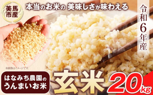 はなみち農園のうんまいお米・玄米 令和6年産 20kg《30日以内に出荷予定(土日祝除く)》 玄米 美馬市産 実森ラボラトリー株式会社 自家製小麦のお店mimori 送料無料 徳島県 美馬市