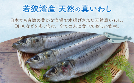 若狭高浜レモンいわし缶 24缶セット (いわし味付)