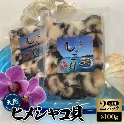 ふるさと納税 今帰仁村 天然ヒメシャコ貝(むき身100g×2パック)