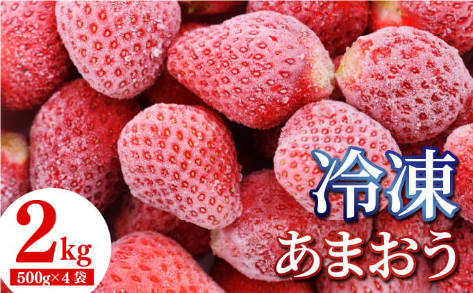 福岡産 冷凍 あまおう 2kg | 国産 フルーツ 果物 あまおう 冷凍 2kg
