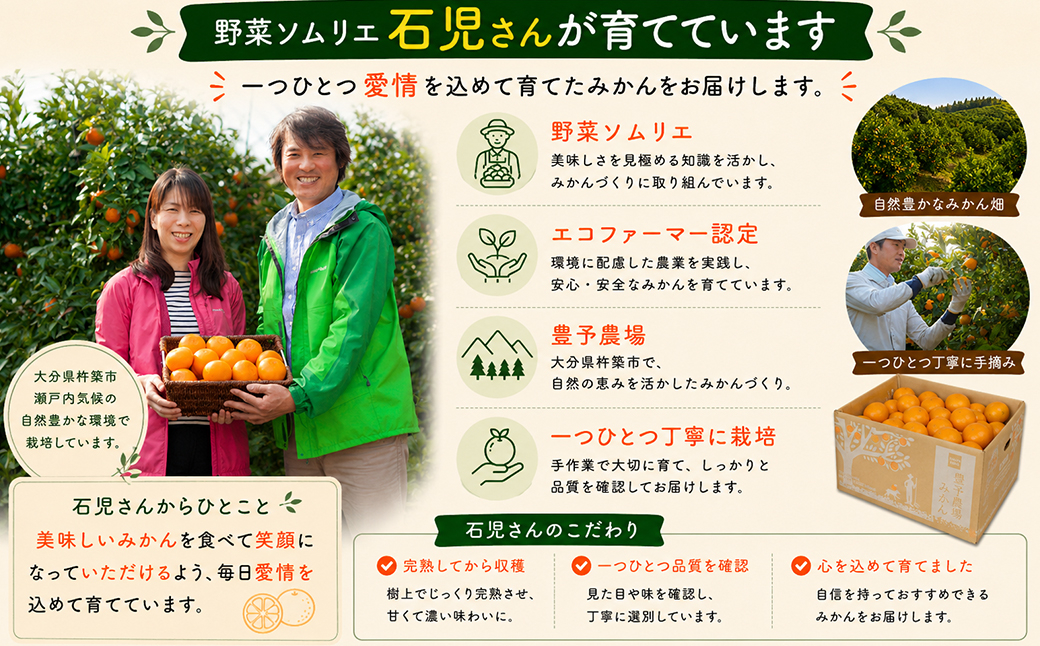 野菜ソムリエ石児さんの「特選 温州みかん 5kg」 ／ ミカン 柑橘 5kg 5キロ 柑橘類 甘い 温州みかん フルーツ 先行予約 11月 12月 1月 11月発送 12月発送 1月発送 ＜103-0