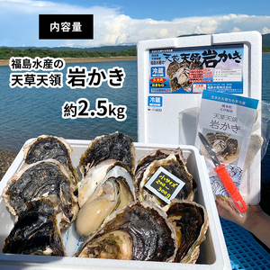 福島水産の天草天領岩かき 約2.5kg