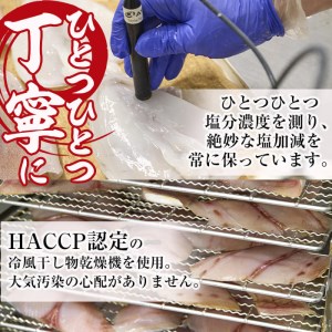 朝獲れ鮮魚で作る！魚屋さんの自家製ソフト干物！(合計2kg以上・15~25枚・3~5種類入り)アジ イワシ カマス イカ タイ ブリカマ セット 詰め合わせ ひもの 焼き魚 おかず お惣菜【YS-3】