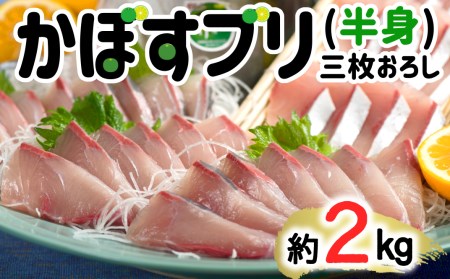 さっぱり美味い「うすき産（養殖）かぼすブリ」 約2kg弱（半身）