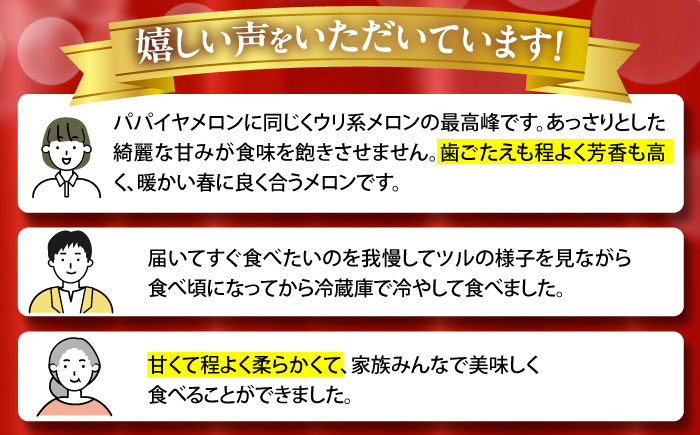 【2025年3月中旬~発送】【平成新山メロンPREMIUM（とみちゃん厳選）】しらかばメロン 約 5kg / メロン 南島原市 / うえだメロン園 [SAD002]