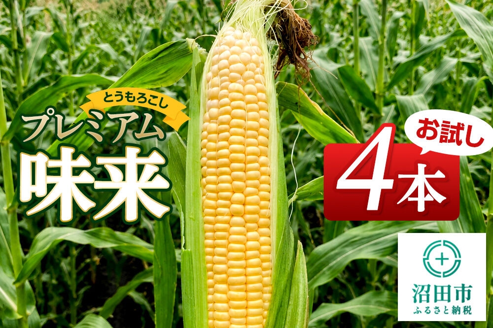
                  《7月下旬～9月上旬発送》とうもろこし プレミアム味来 お試しセット（4本）山口いちご園
                