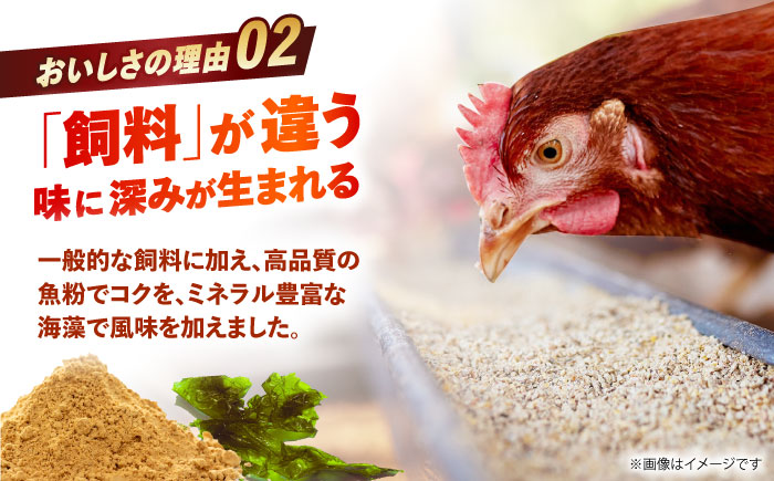 【朝採れ直送】小峰鶏園 赤たまご Lサイズ 60個 / 卵 玉子 たまご 卵焼き 玉子焼き 生卵 鶏卵 卵かけごはん / 諫早市 / 小峰鶏園 [AHFB001]