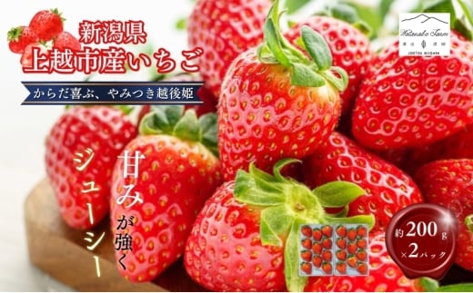【先行予約 | 2026年4月中旬より出荷開始】いちご 中粒 カラダよろこぶ やみつき 越後姫 約200g×2パック (18～30粒入り) イチゴ 苺 上越市 新潟