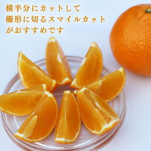 【 先行予約 】【訳あり】農家直送 名前だけが訳あり あいか 10kg 家庭用 | 紅まどんな と同種 みかん 愛媛 松山 フルーツ 果物 くだもの 10キロ 数量限定 期間限定 送料無料 柑橘 みか