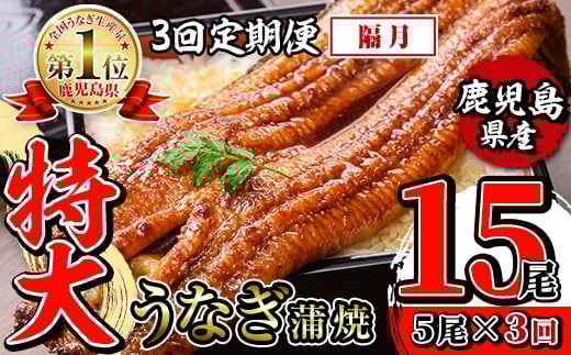 i1176-B ＜定期便・計3回(隔月)＞＼特大サイズ／鹿児島県産 うなぎ蒲焼 5尾セット ＜（約220g×5・計約1100g）×全3回＞ 定期便 たれ 山椒付きうなぎ 鰻 ウナギ 特大 特大サイズ 約220g 蒲焼き 国産 鹿児島県産 焼きたて 生産量日本一 真空パック おかず 晩御飯 特別な日 土用の丑の日 【薩摩川内鰻】