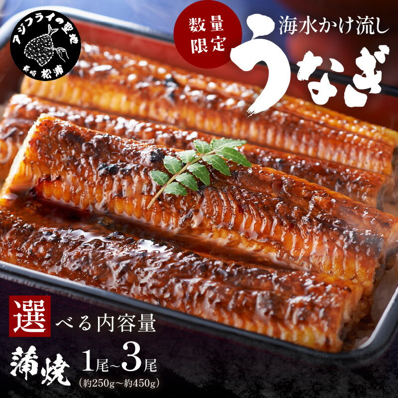 【ふるさと納税】＼お中元／数量限定！海水かけ流しうなぎ蒲焼 2尾 3尾 特大1尾