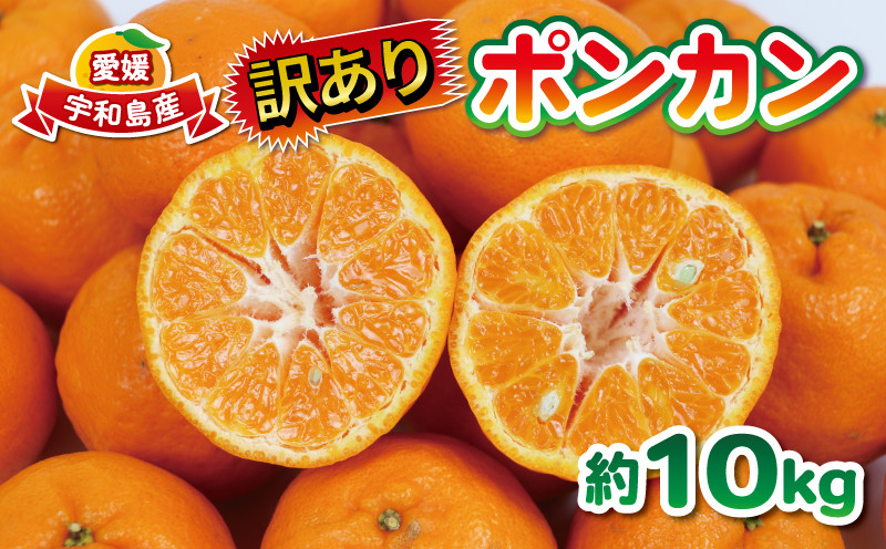 
            ポンカン 訳あり ぽんかん 10kg 大田農園 みかん 先行予約 果物 フルーツ 柑橘 みかん ミカン mikan 愛媛みかん 愛媛ミカン 愛媛密柑 密柑 ジューシー 爽やか 果物 くだもの デザート ビタミン 数量限定 産地直送 農家直送 国産 愛媛 宇和島 B012-121001
          
