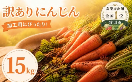 訳あり にんじん 約15kg 人参 ニンジン にんじん 15キロ 野菜 訳アリ 人参 ニンジン わけあり にんじん 訳有 人参 ワケアリ にんじん 加工用 ニンジン 家庭用 人参 不揃い にんじん 規格外 ニンジン キャロット 人参 ニンジン 根菜 にんじん 産地直送 ニンジン 人参 にんじん 茨城 鉾田 五右衛門