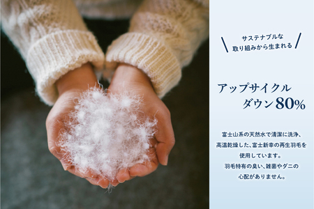 【富士新幸謹製】訳あり 羽毛布団 本掛け クイーン［色柄おまかせ］「サステナブルな羽毛」アップサイクルダウン※着日指定不可 DSI017