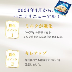アイスクリーム セット PARM パルム MOW モウ バラエティセットA-2 36個 バニラ チョコレート バニラアイス お歳暮 贈答品 ギフト アイス 静岡 裾野市 ※配送不可：離島