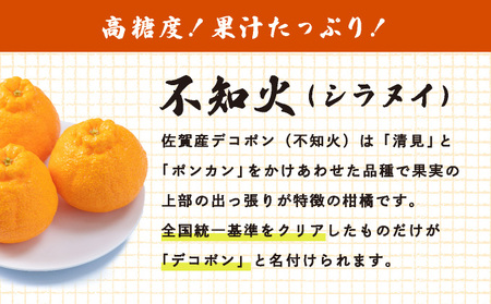[先行予約] 佐賀産 デコポン8〜12玉(約2.5kg箱) 41nf-004