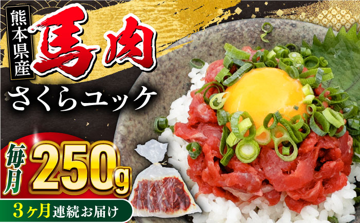 【全3回定期便】 馬肉さくらユッケ 250g ( 50g × 5 ) 馬刺し 【五右衛門フーズ】 [YBZ032]