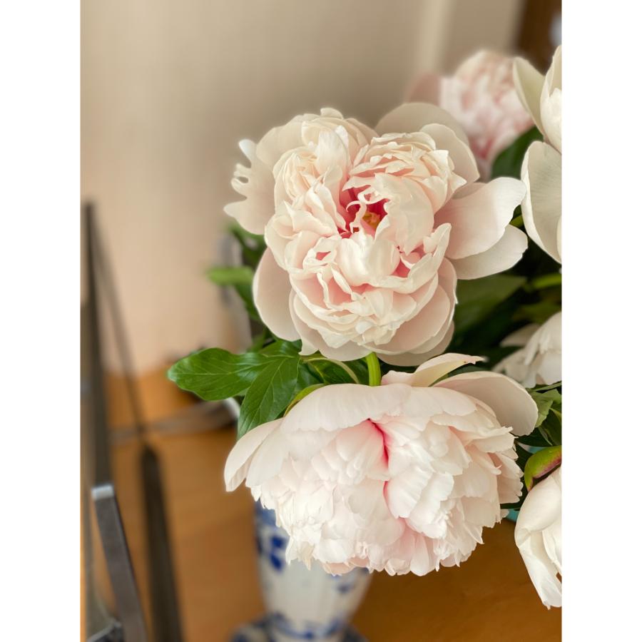 ＜gente 並木容子＞季節のブーケ 芍薬のブーケ　お届日指定必須（25年5月23日(金)～5月26日(月)）